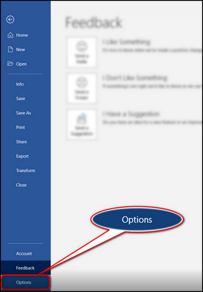 word-file-options