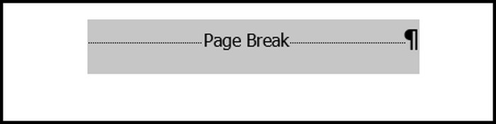 word-page-break-selected