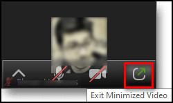 zoom-exit-minimize